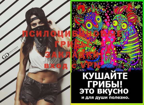 молекула духа Вязники