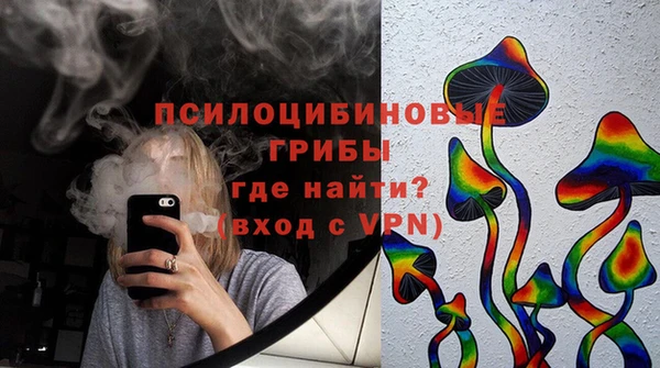 спиды Вяземский