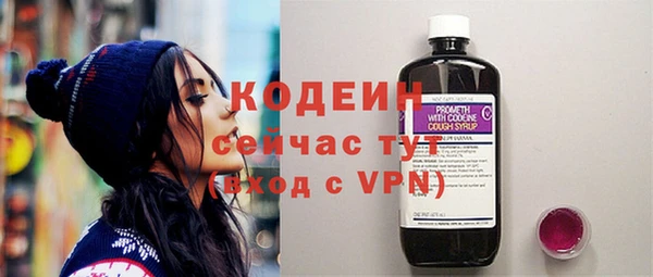 спиды Вяземский