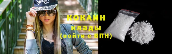 спиды Вяземский