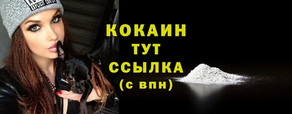 молекула духа Вязники