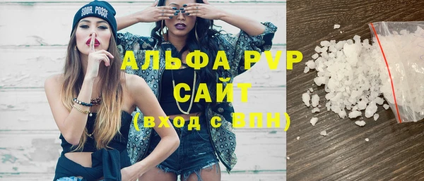 спиды Вяземский