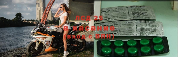 спиды Вяземский