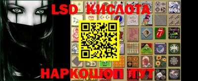 кокс Донской
