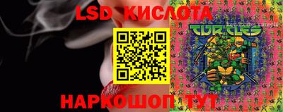 кокс Донской