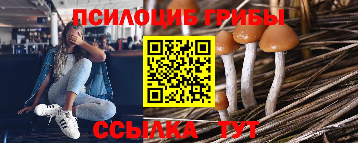 Псилоцибиновые грибы прущие грибы Глазов