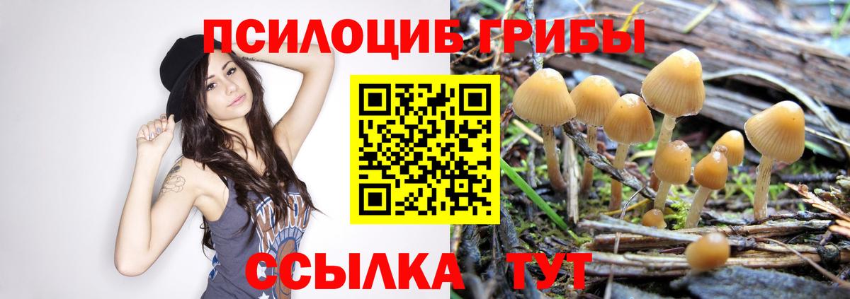 NBOMe Глазов