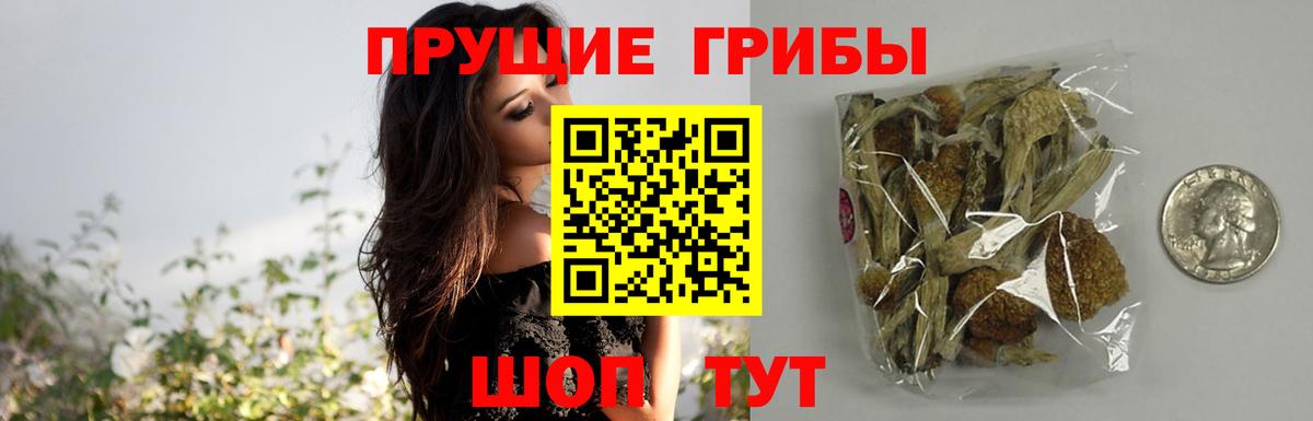 Псилоцибиновые грибы ЛСД  Вход с VPN  Глазов 